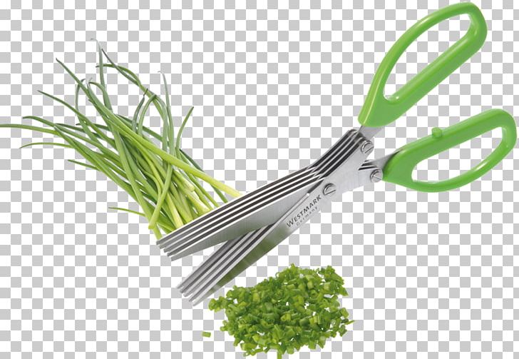 Kräuterschere Scissors Herb Stainless Steel Cleaning PNG, Clipart, Blade, Brush, Cleaning, Cooking, Culinary Arts Free PNG Download