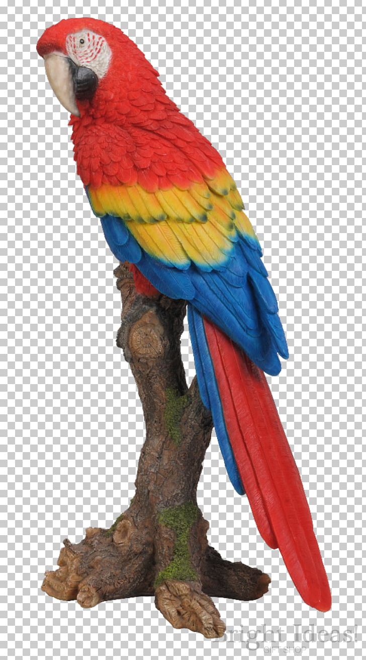 Parrot Bird Garden Ornament Garden Ornament PNG, Clipart, Animal, Animals, Art, Beak, Bird Free PNG Download