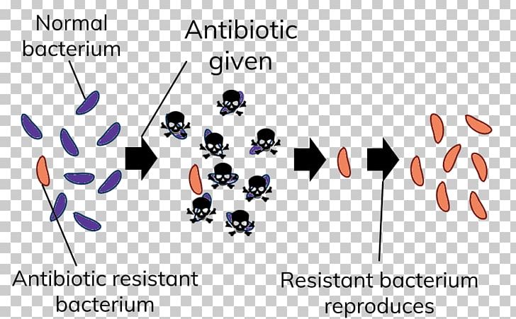 Brand Logo Line Technology PNG, Clipart, Brand, Circle, Diagram, Drug Resistance, Graphic Design Free PNG Download