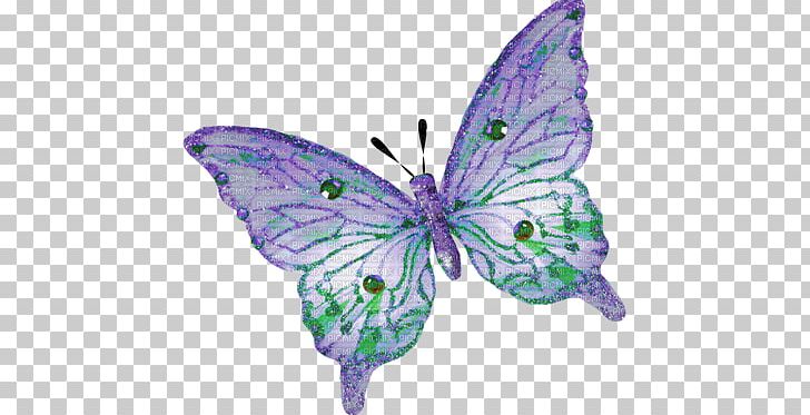 Butterfly Insect PNG, Clipart, Art, Arthropod, Blue, Blue Green, Brush Footed Butterfly Free PNG Download