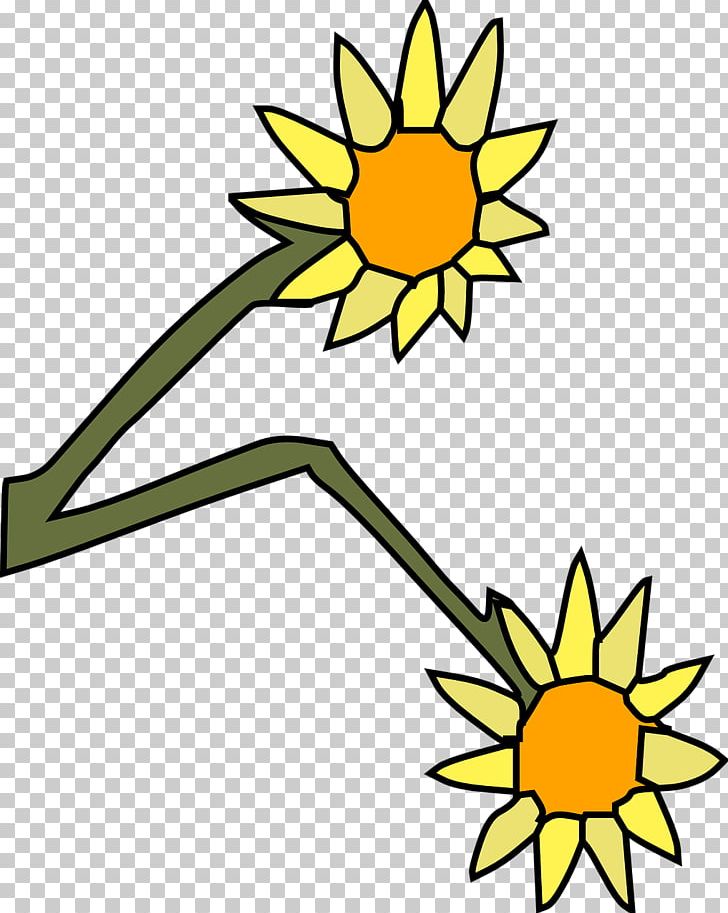 Common Sunflower Yellow Cut Flowers PNG, Clipart, Artwork, Black And White, Blume, Color, Common Sunflower Free PNG Download