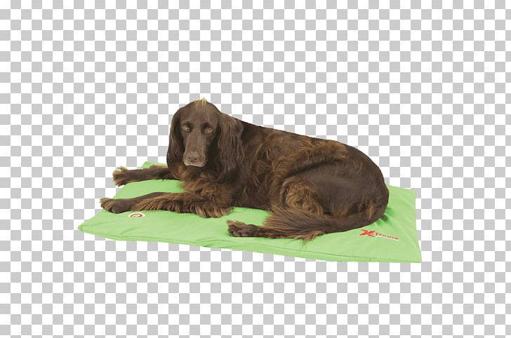 Dog Breed Duvet Green Bed PNG, Clipart, Animals, Applegreen, Bed, Breed, Dog Free PNG Download