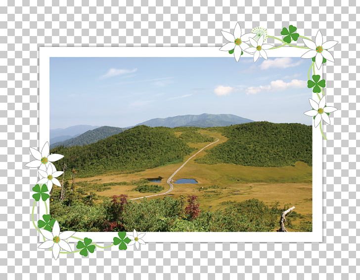 Ecosystem Land Lot Grassland Hill Station Energy PNG, Clipart, Ecosystem, Energy, Farm, Flower, Grass Free PNG Download
