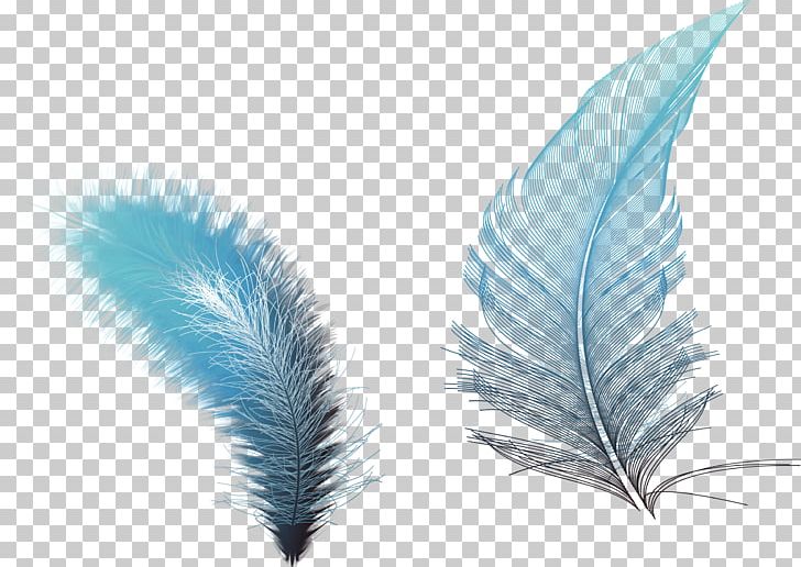 Feather Euclidean RGB Color Model PNG, Clipart, Animals, Blue, Color, Designer, Download Free PNG Download