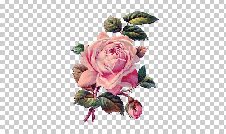 Garden Roses Pittock Mansion Sticker Flower PNG, Clipart, Artificial Flower, Calendar, Floral Design, Floristry, Flower Free PNG Download