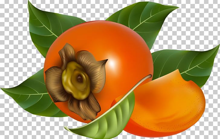 Japanese Persimmon Fruit PNG, Clipart, Diospyros, Ebony Trees And Persimmons, Food, Fruit, Fruit Nut Free PNG Download