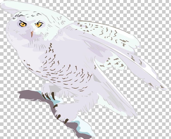 Owl Bird Of Prey Animal Wildlife PNG, Clipart, Animal, Animals, Beak, Bird, Bird Of Prey Free PNG Download