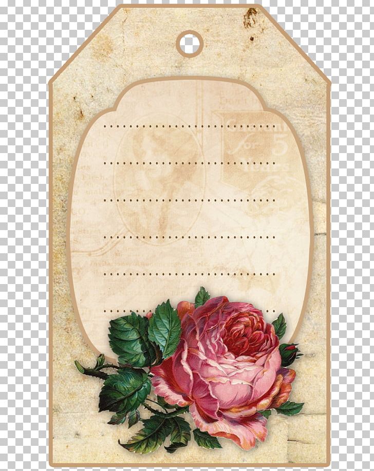 Flower Label Photography Decoupage PNG, Clipart, Business Cards, Decoupage, Drawing, Floral Design, Flower Free PNG Download
