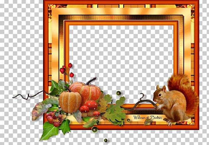 Frames Photography 440s PNG, Clipart, 367, 443, 444, 446, 448 Free PNG Download