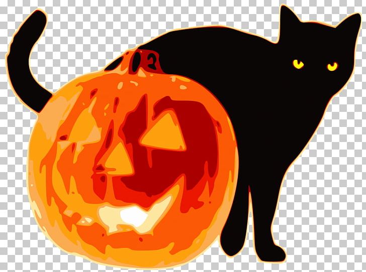 Jack-o'-lantern Paper Lantern Halloween PNG, Clipart, Calabaza, Carnivoran, Carving, Cat, Cat Like Mammal Free PNG Download