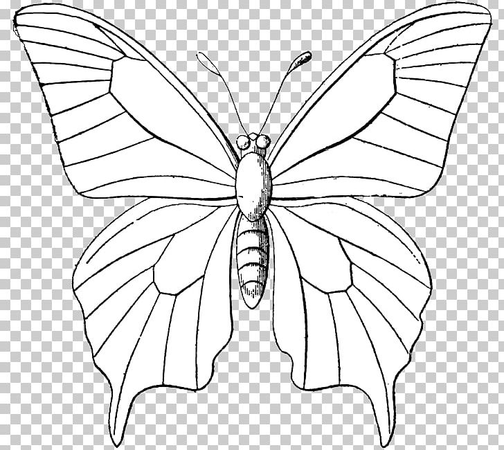 Monarch Butterfly Outline Drawing PNG, Clipart, Animal, Brush Footed Butterfly, Color, Fictional Character, Flower Free PNG Download