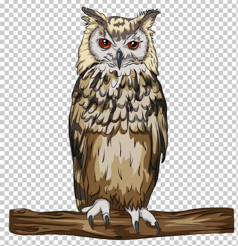 Owl Bird Bird Of Prey Eastern Screech Owl Screech Owl PNG, Clipart, Bird, Bird Of Prey, Branch, Eastern Screech Owl, Great Horned Owl Free PNG Download