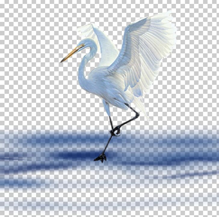 Bird PNG, Clipart, Albom, Beak, Bird, Clip Art, Computer Wallpaper Free PNG Download