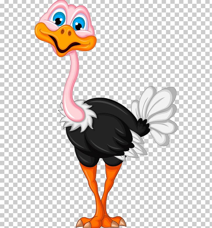 Common Ostrich Bird PNG, Clipart, Animal, Animals, Art, Balloon Cartoon, Beak Free PNG Download