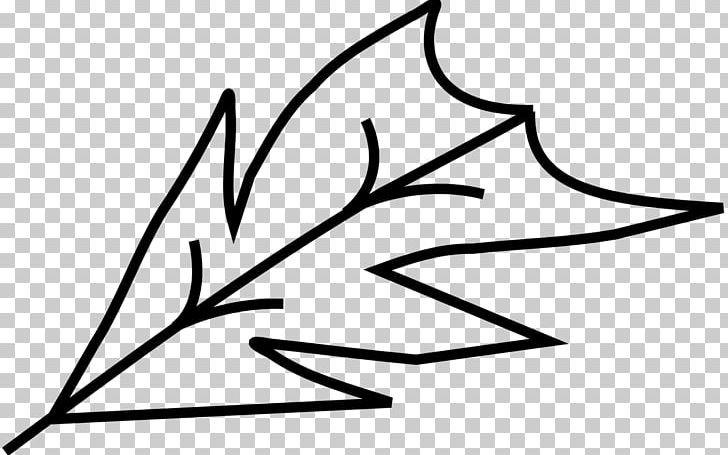 Drawing Leaf PNG, Clipart, Area, Art, Artwork, Ausmalbild, Biology Free PNG Download