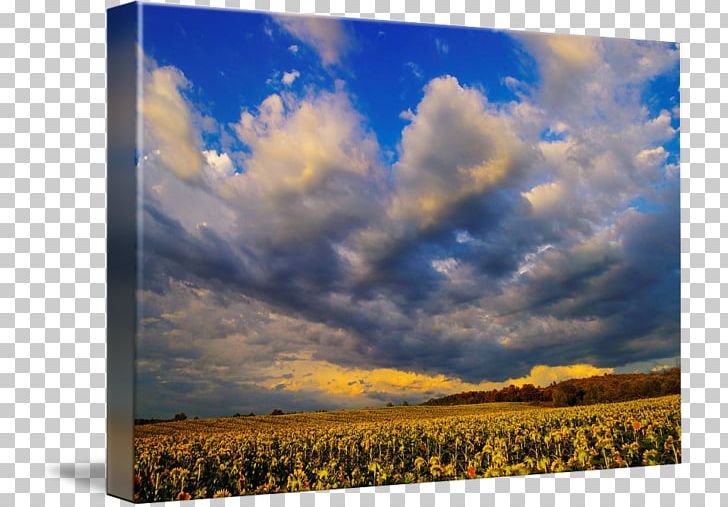 Ecoregion Prairie Painting Energy Sky Plc PNG, Clipart, Art, Atmosphere, Cloud, Cumulus, Ecoregion Free PNG Download