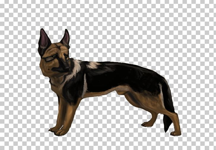 Kunming Wolfdog German Shepherd Dog Breed Snout PNG, Clipart, Angry, Angry Dog, Breed, Carnivoran, Dog Free PNG Download