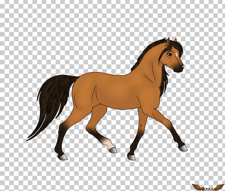 Stallion Mustang American Quarter Horse Foal Pintabian PNG, Clipart, American Quarter Horse, Animal Figure, Breed, Bridle, Colt Free PNG Download