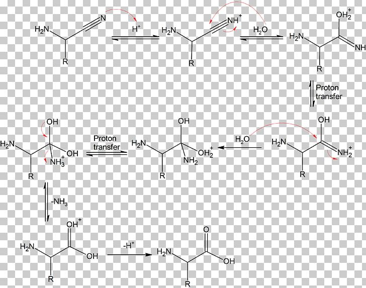 Strecker Amino Acid Synthesis Dehydration Reaction Chemical Synthesis PNG, Clipart, Acid, Aldehyde, Amine, Amino Acid, Amino Acid Synthesis Free PNG Download