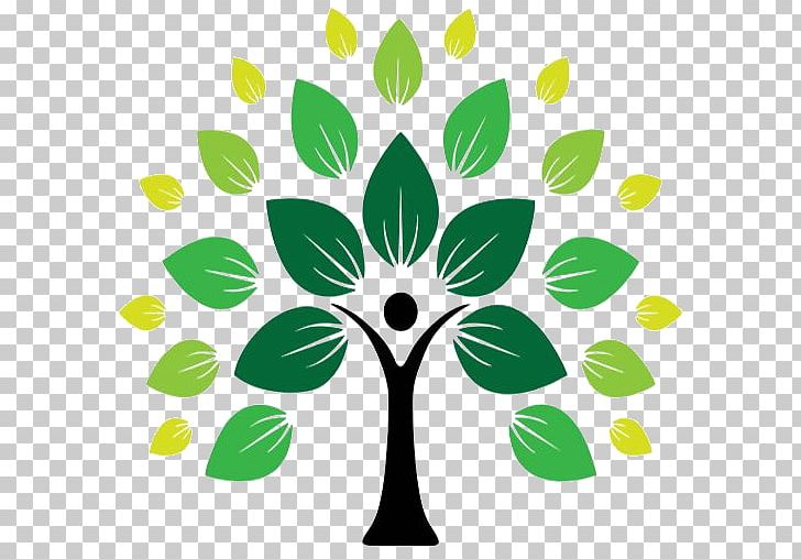 Tree Of Life Symbol Logo PNG, Clipart, Branch, Celtic Sacred Trees, Counseling Psychology, Family Tree, Flora Free PNG Download