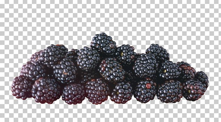 Frutti Di Bosco Fruit Raspberry Blackberry PNG, Clipart, Berry, Bilberry, Blackberry, Boysenberry, Computer Icons Free PNG Download