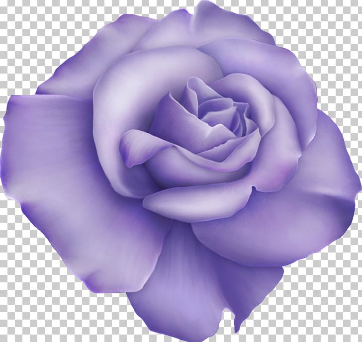 Garden Roses Digital PNG, Clipart, Barnali Bagchi, Cut Flowers, Decoupage, Flower, Flowering Plant Free PNG Download