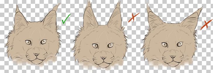 Maine Coon Domestic Rabbit Persian Cat Tail Race PNG, Clipart, Breed, Breed Standard, Cat, Coat, Domestic Rabbit Free PNG Download