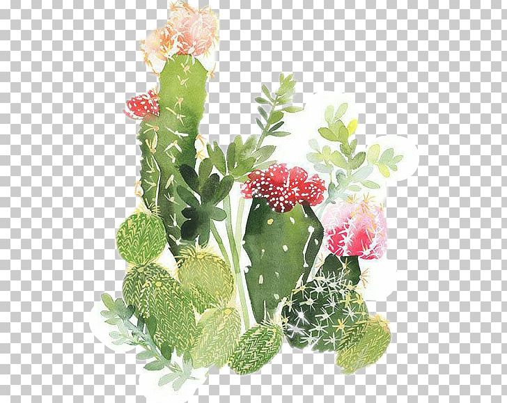 Watercolour Flowers Watercolor Painting Cactaceae Printmaking PNG, Clipart, Art, Barbary Fig, Cactus, Caryophyllales, Color Free PNG Download