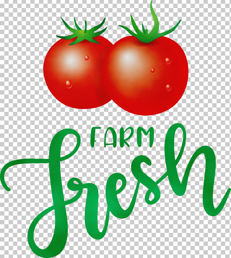 Tomato PNG, Clipart, Bush Tomato, Farm, Farm Fresh, Fresh, Local Food Free PNG Download