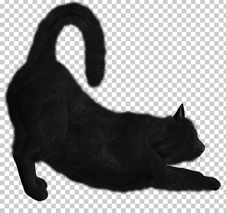 Cat Dog PNG, Clipart, Animals, Black, Black And White, Bombay, Bombay Cat Free PNG Download