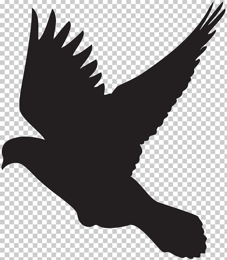 Columbidae Silhouette Drawing Dove PNG, Clipart, Animals, Beak, Bird, Bird Of Prey, Black And White Free PNG Download