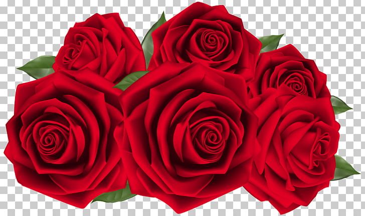Garden Roses Flower PNG, Clipart, Blue Rose, Cut Flowers, Desktop Wallpaper, Encapsulated Postscript, Floral Design Free PNG Download