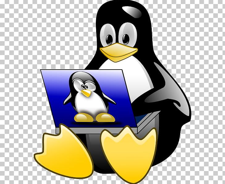 Laptop Linux Startup Process Tux Operating Systems PNG, Clipart, Bird, Computer Software, Electronics, Flightless Bird, Flip Free PNG Download