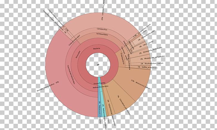 Metagenomics Visualization Diagram Chart Cloning PNG, Clipart, 16s Ribosomal Rna, Angle, Chart, Circle, Cloning Free PNG Download