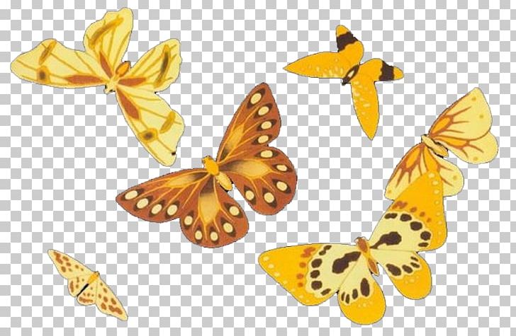 Monarch Butterfly PNG, Clipart, Brush Footed Butterfly, Butterflies, Butterflies And Moths, Butterfly, Butterfly Group Free PNG Download
