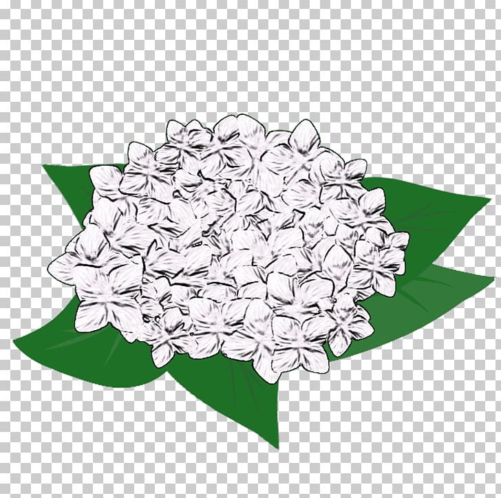 French Hydrangea Illustration Petal Design Flower PNG, Clipart, Download, Flower, Flowering Plant, French Hydrangea, Hydrangea Free PNG Download