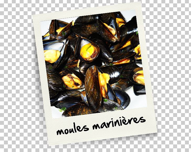 Mussel Marriage .net PNG, Clipart, Animal Source Foods, Clams Oysters Mussels And Scallops, Food, Marriage, Mussel Free PNG Download