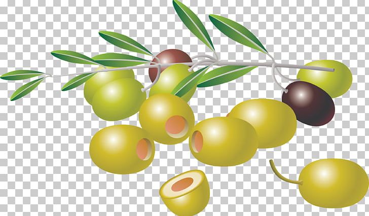 Olive Branch PNG, Clipart, Apple, Computer Icons, Download, Food, Free Free PNG Download