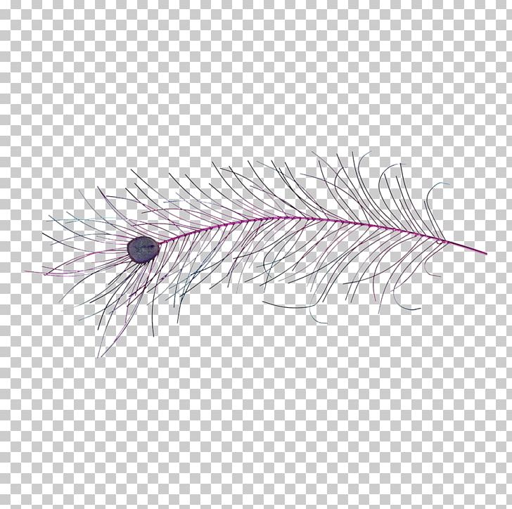 Pink M Feather Rose Line PNG, Clipart, Accent, Animals, Feather, Iron, Line Free PNG Download