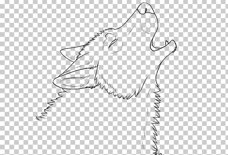 Gray Wolf Line Art Drawing PNG, Clipart, Anime, Arm, Art, Art Museum, Artwork Free PNG Download