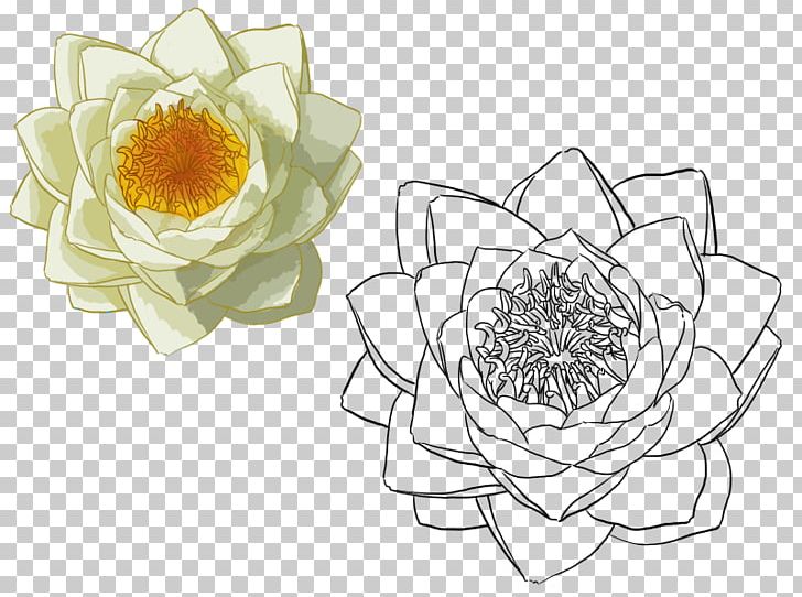 Yellow Nelumbo Nucifera PNG, Clipart, Cut Flowers, Euclidean Vector, Flora, Floral Design, Floristry Free PNG Download