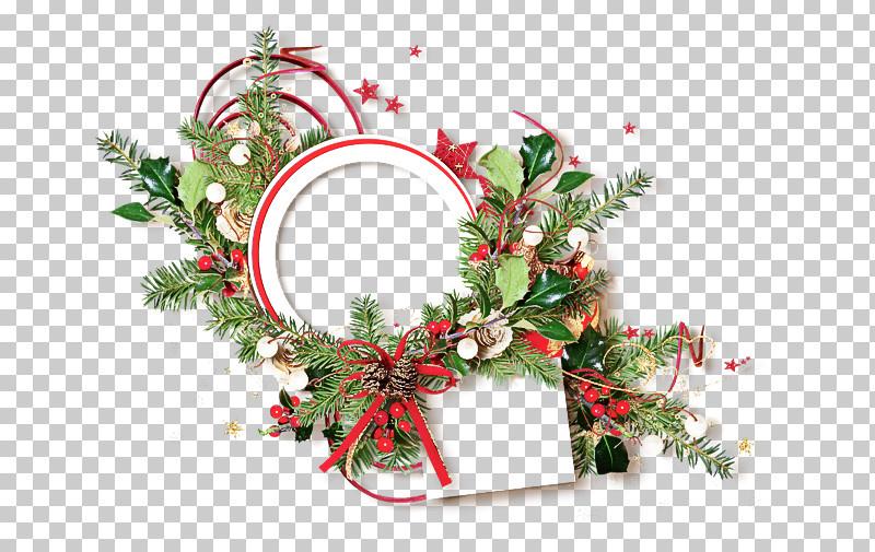 Christmas Ornament PNG, Clipart, Biology, Christmas Day, Christmas Ornament, Floral Design, Flower Free PNG Download