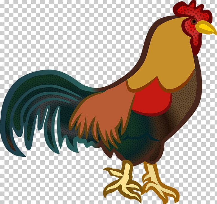 Chicken Rooster Open PNG, Clipart, Animals, Beak, Bird, Chicken, Chicken As Food Free PNG Download