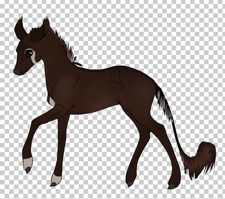 Foal Mustang Colt Stallion Mare PNG, Clipart, Animal Figure, Canaan, Colt, Foal, Halter Free PNG Download