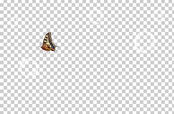 Insect M. Butterfly Pollinator Wing PNG, Clipart, Animals, Butterflies And Moths, Butterfly, Fauna, Fly Free PNG Download