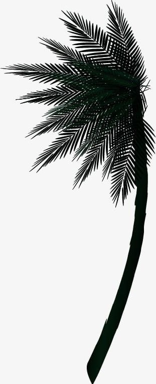 Palm Tree PNG, Clipart, Black, Palm, Palm Clipart, Palm Clipart, Palm Tree Free PNG Download