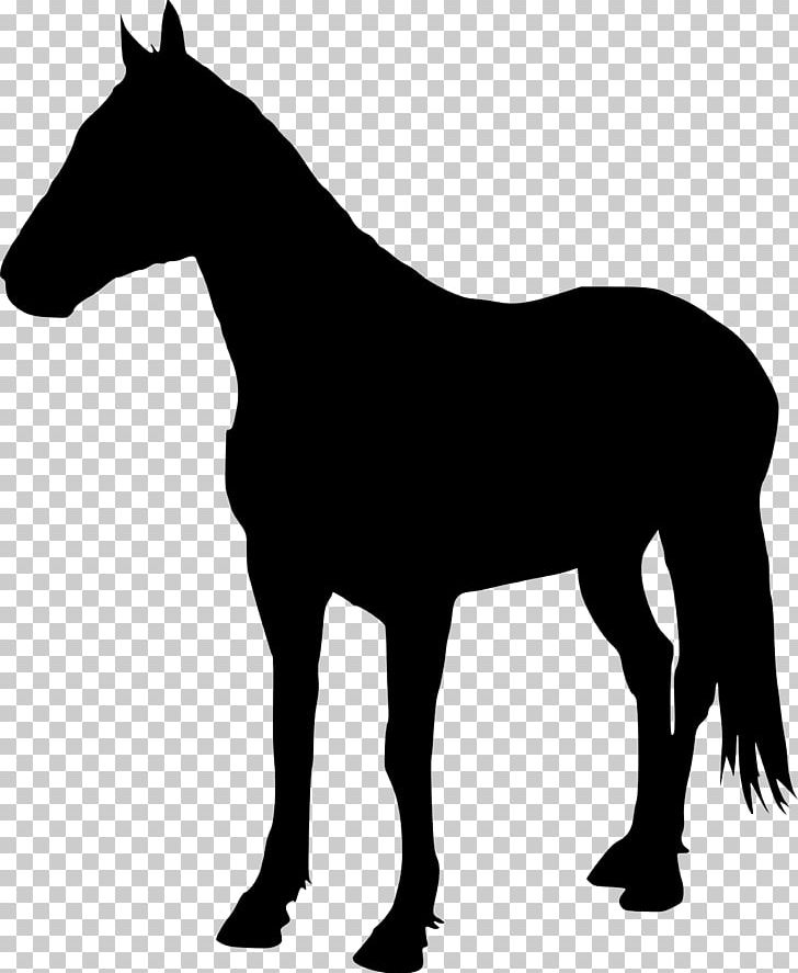 American Quarter Horse Stallion Pony Halter Silhouette PNG, Clipart, Animals, Back, Black, Black And White, Bridle Free PNG Download
