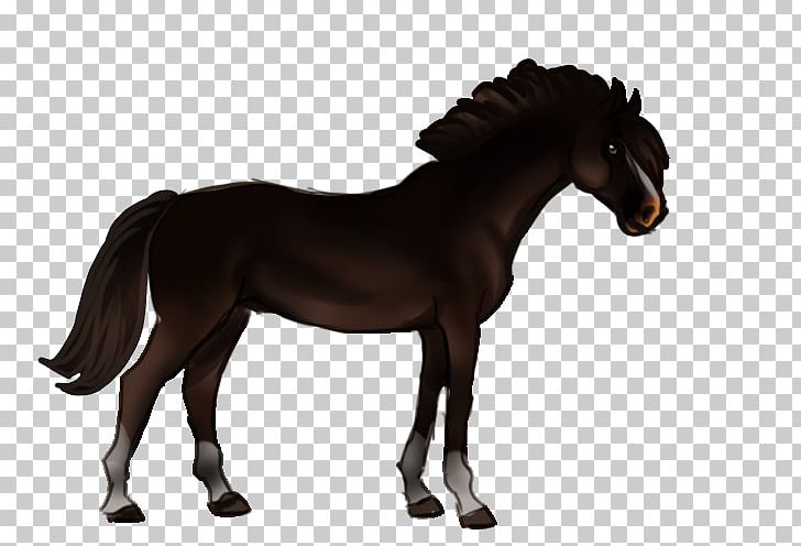Horse Pony PNG, Clipart, Animal Figure, Animals, Art, Bridle, Colt Free PNG Download