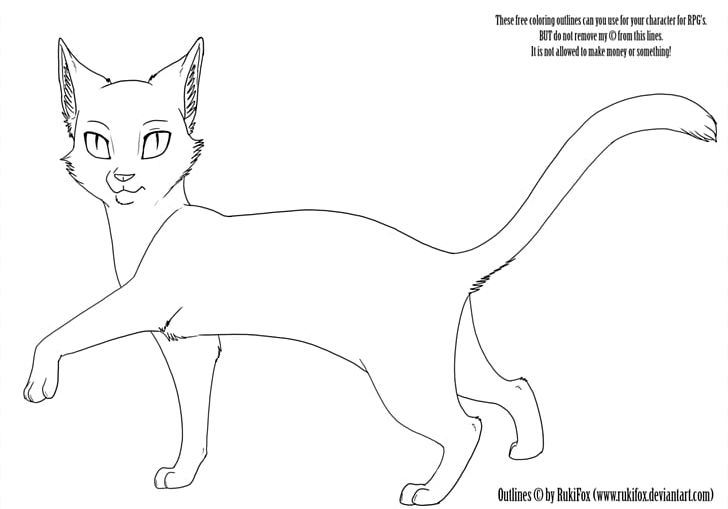 Kitten Whiskers Cat Warriors Sketch PNG, Clipart, Angle, Artwork, Black And White, Carnivoran, Cat Free PNG Download