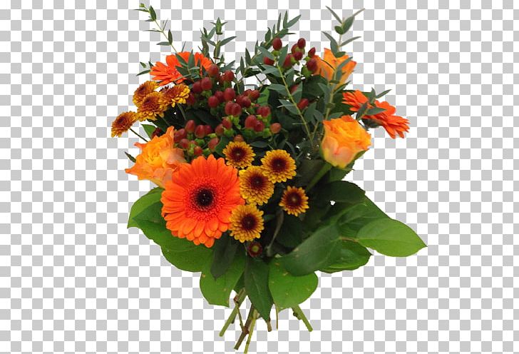 Transvaal Daisy Flower Bouquet Cut Flowers Floral Design PNG, Clipart, Annual Plant, Apolon, Cut Flowers, Daisy Family, Floral Design Free PNG Download